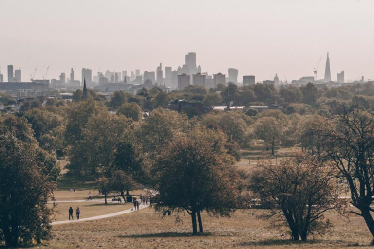 Best Things To Do In Primrose Hill London Insiders Area Guide