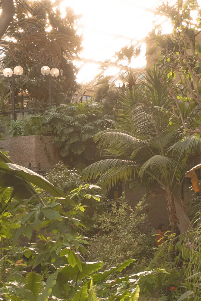 Barbican Conservatory