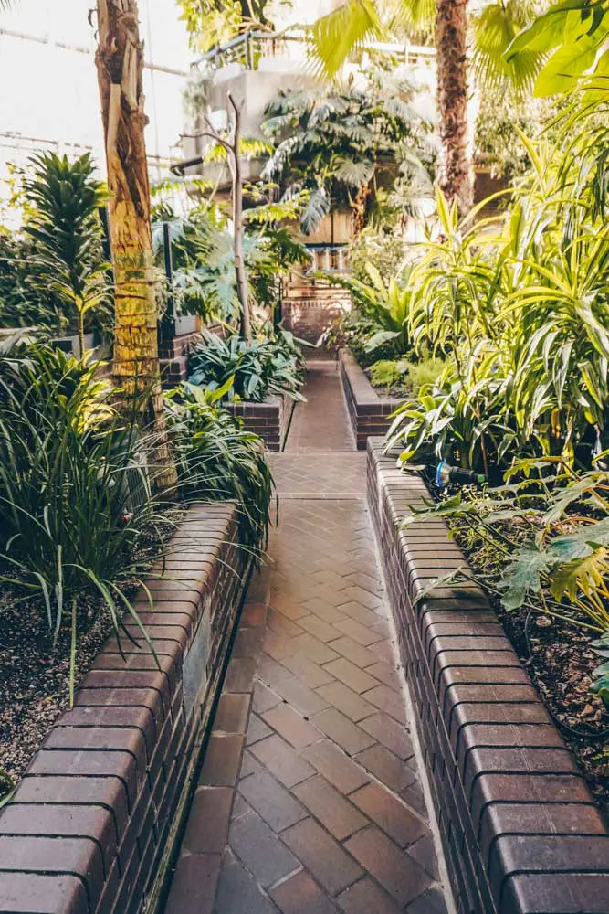 Walkway through the conservatory