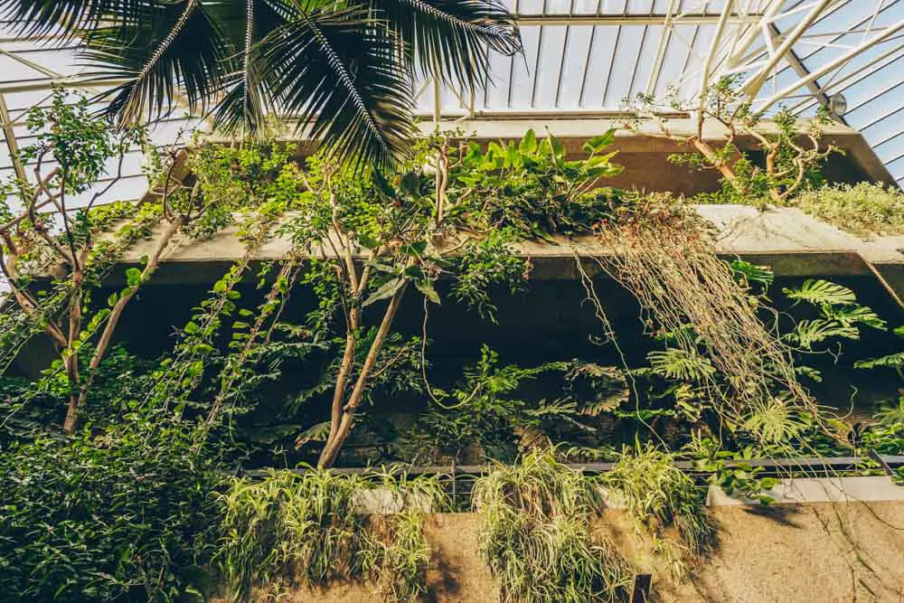 The Conservatory from the lower levels