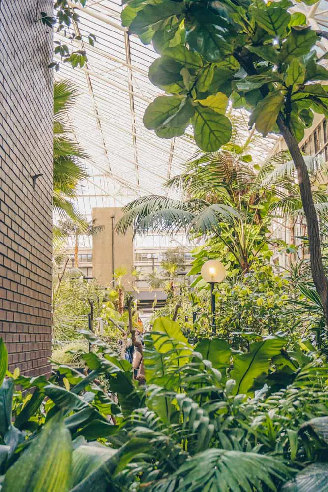 Barbican Conservatory