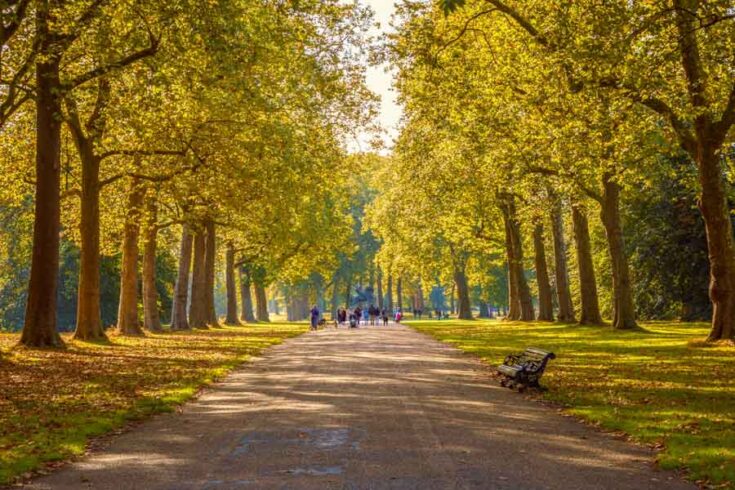 29 Gorgeous Parks in London You Need to Explore — London x London