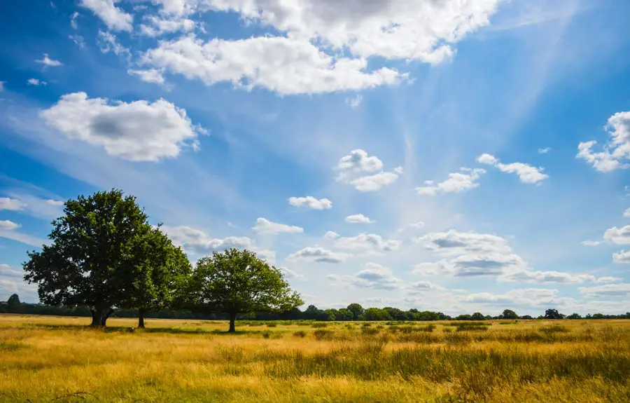 Richmond Park