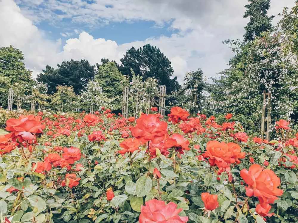 Regent's Park