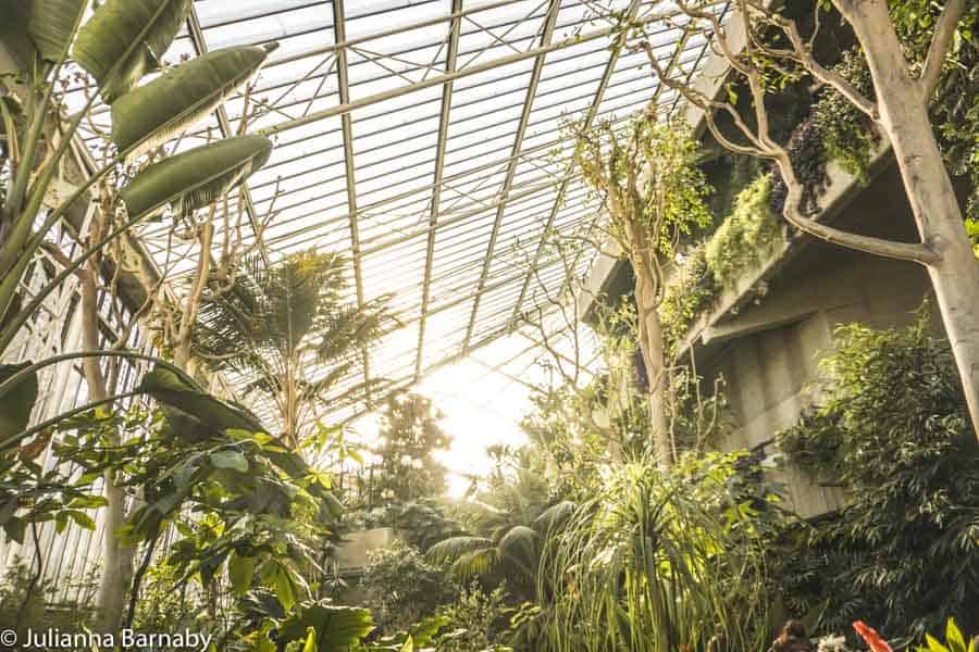 Barbican Conservatory