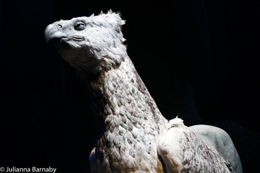 Buckbeak in the Forbidden Forest