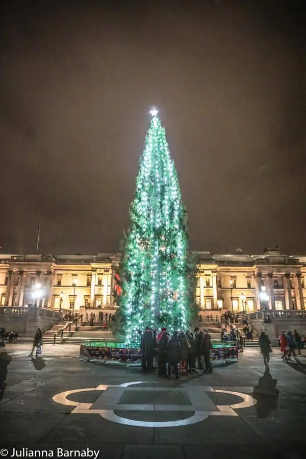 The Christmas Tree in Trafalgar Square