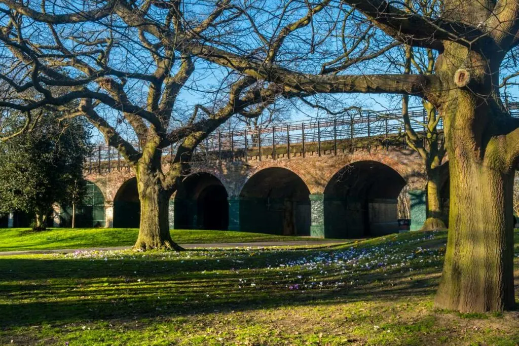 Ravenscourt Park