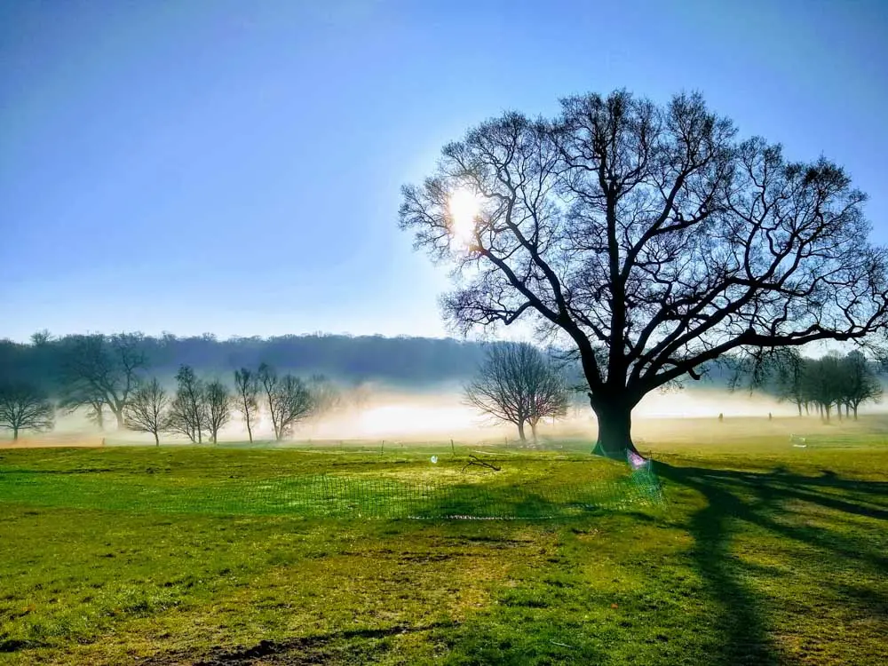 Beckenham Place Park 