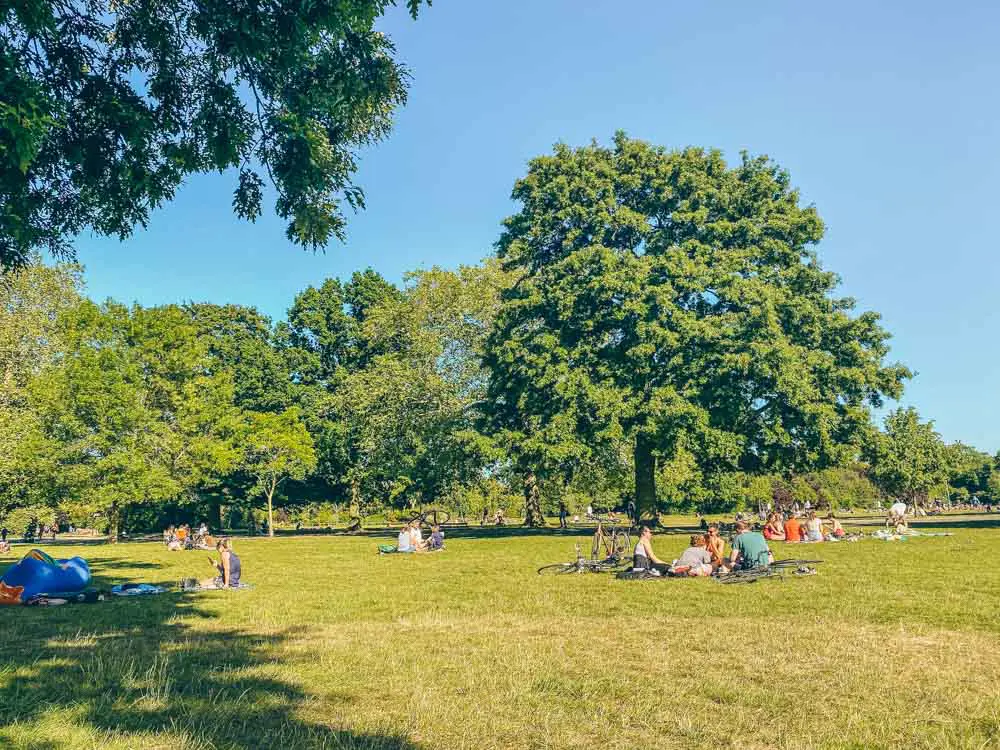 People lounging in the park