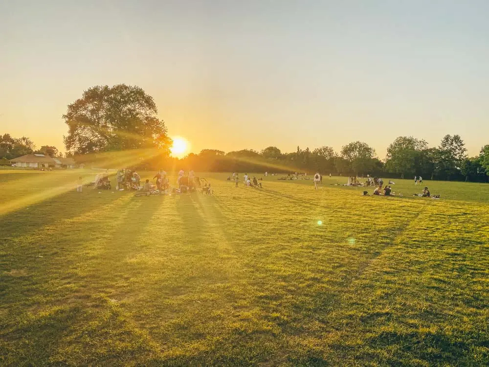 The park at sunset