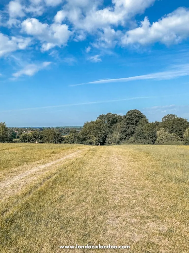 Lloyd Park in the summer