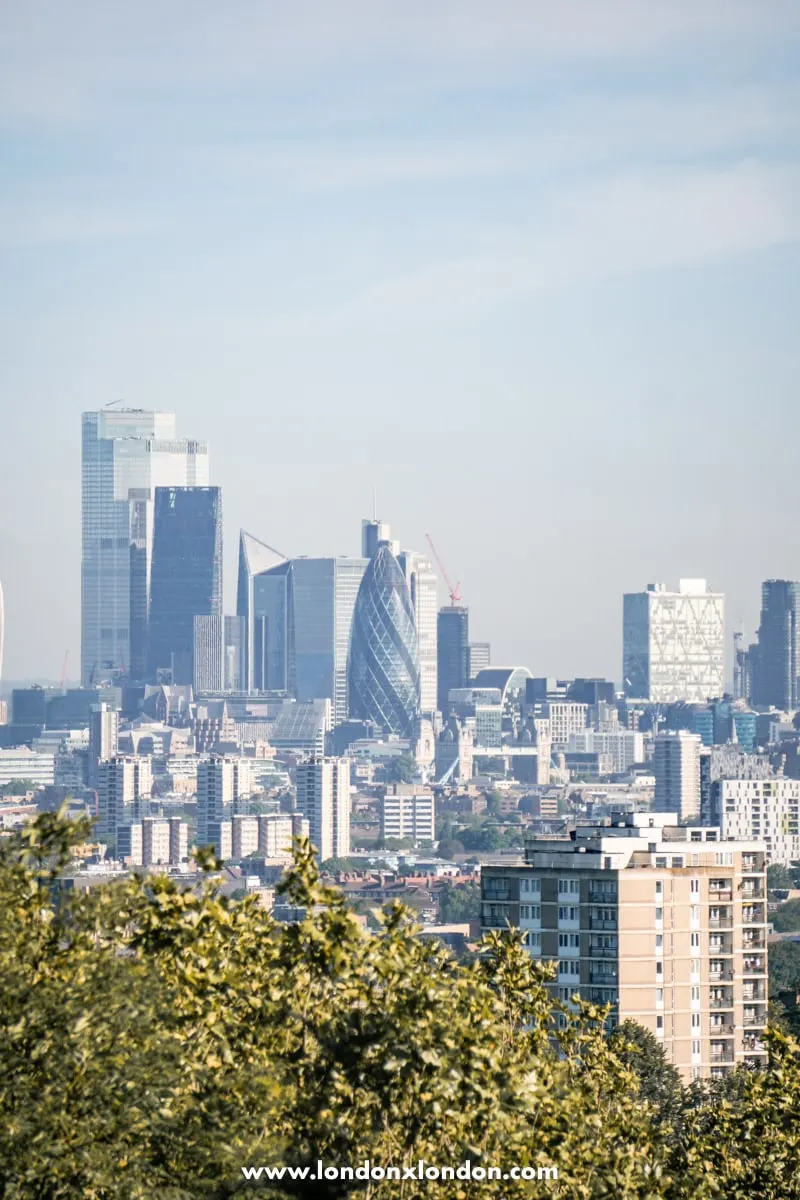 Vertical picture of the london landscape 