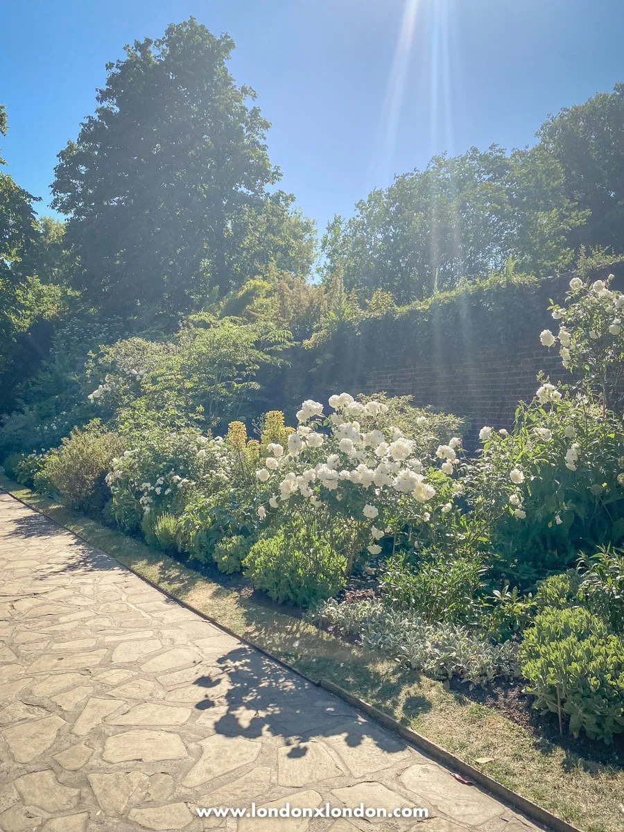 The white garden and wall 