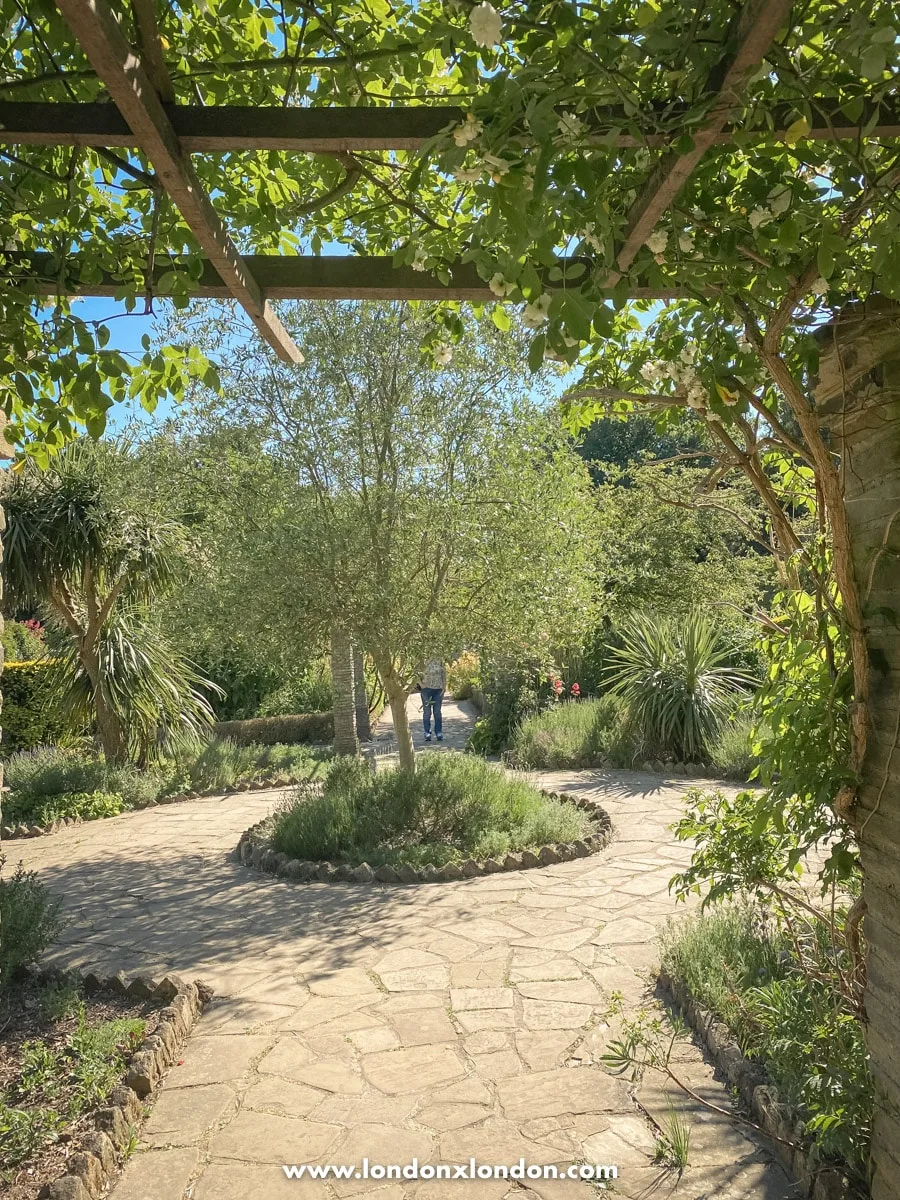 Pergola and garden