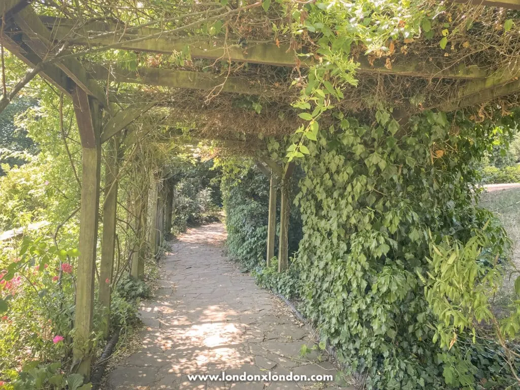 Under the pergola in the rookery