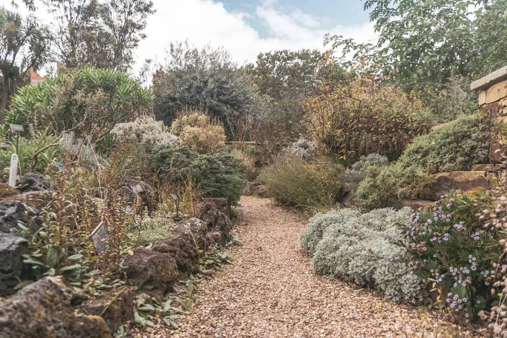 Inside Chelsea Physic Garden