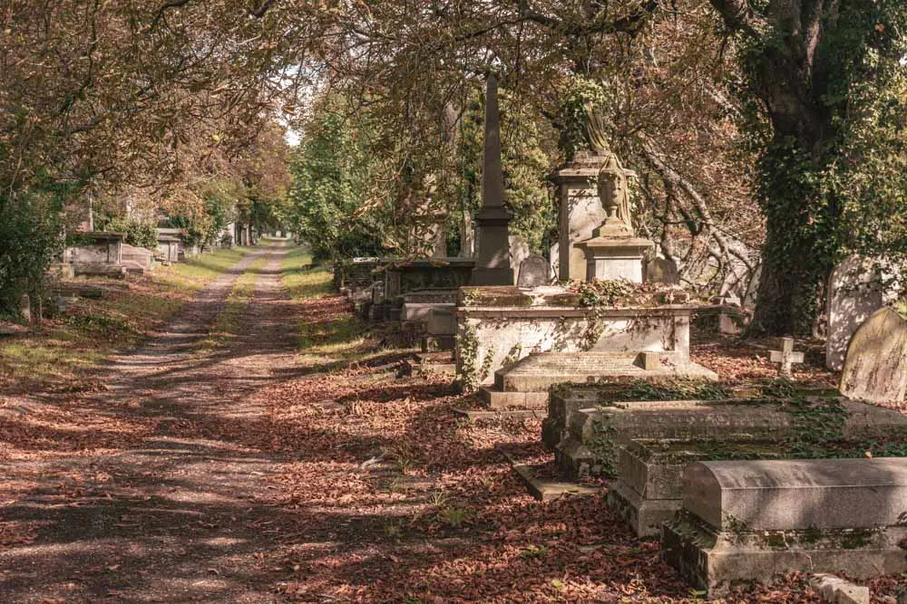 Inside the Cemetery 