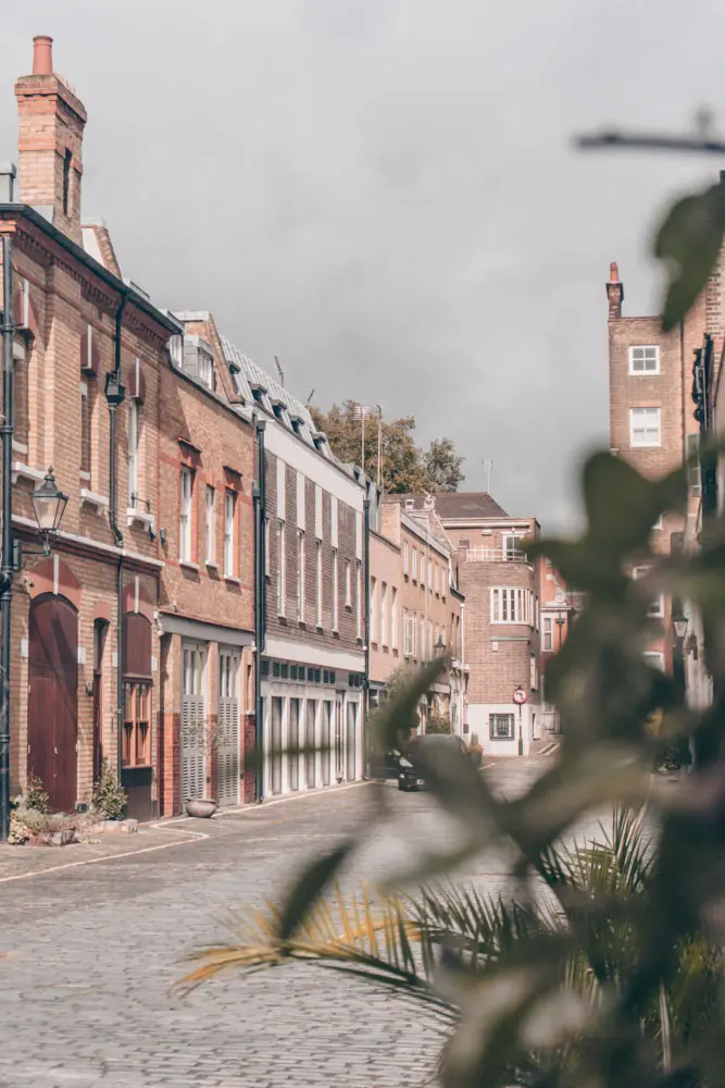 Wimpole Mews 