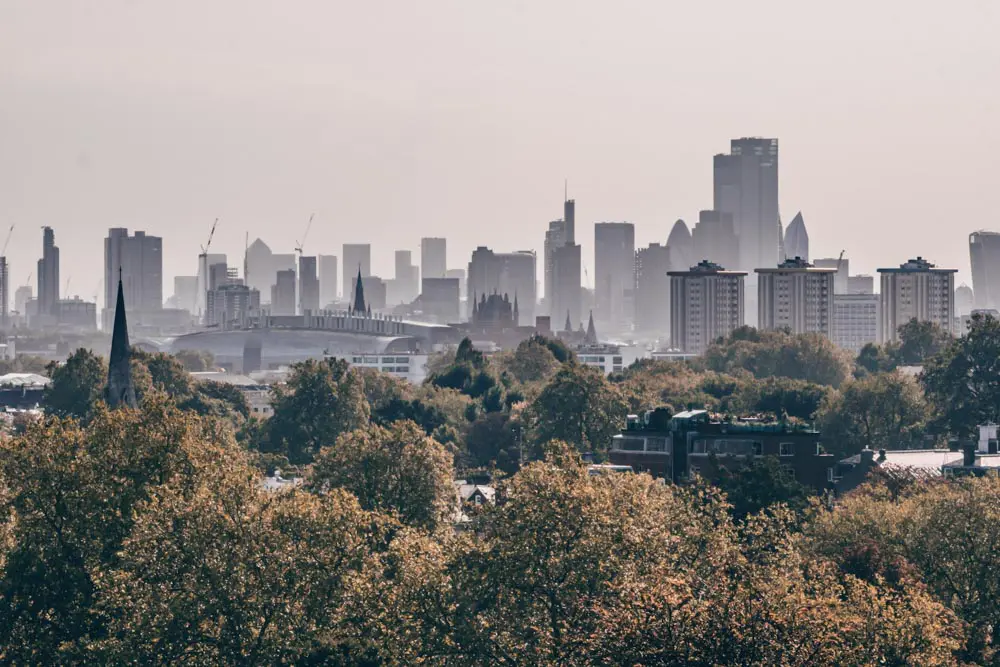 Primrose Hill View