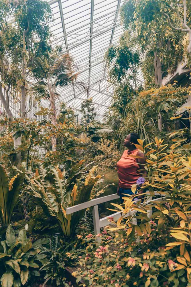 The Barbican Conservatory