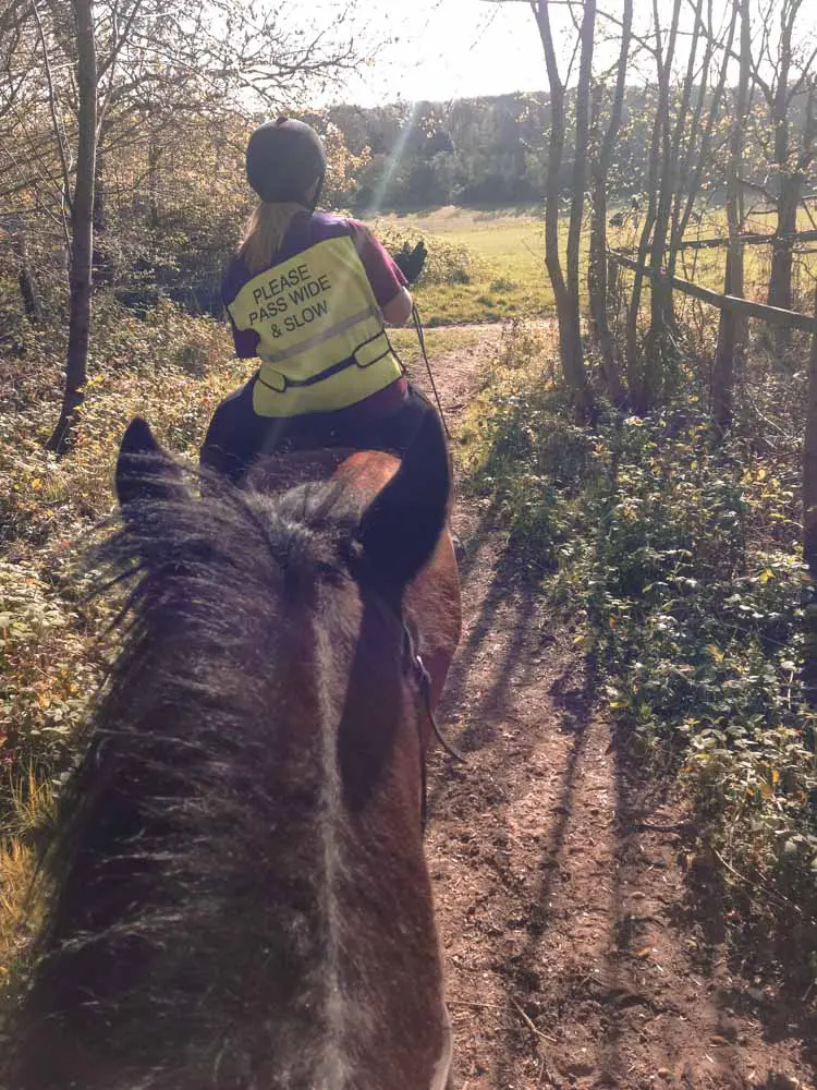 Horse Riding at Kingsmead