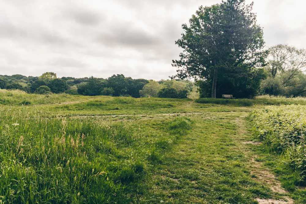 Hampstead Heath