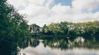 Hampstead Ponds