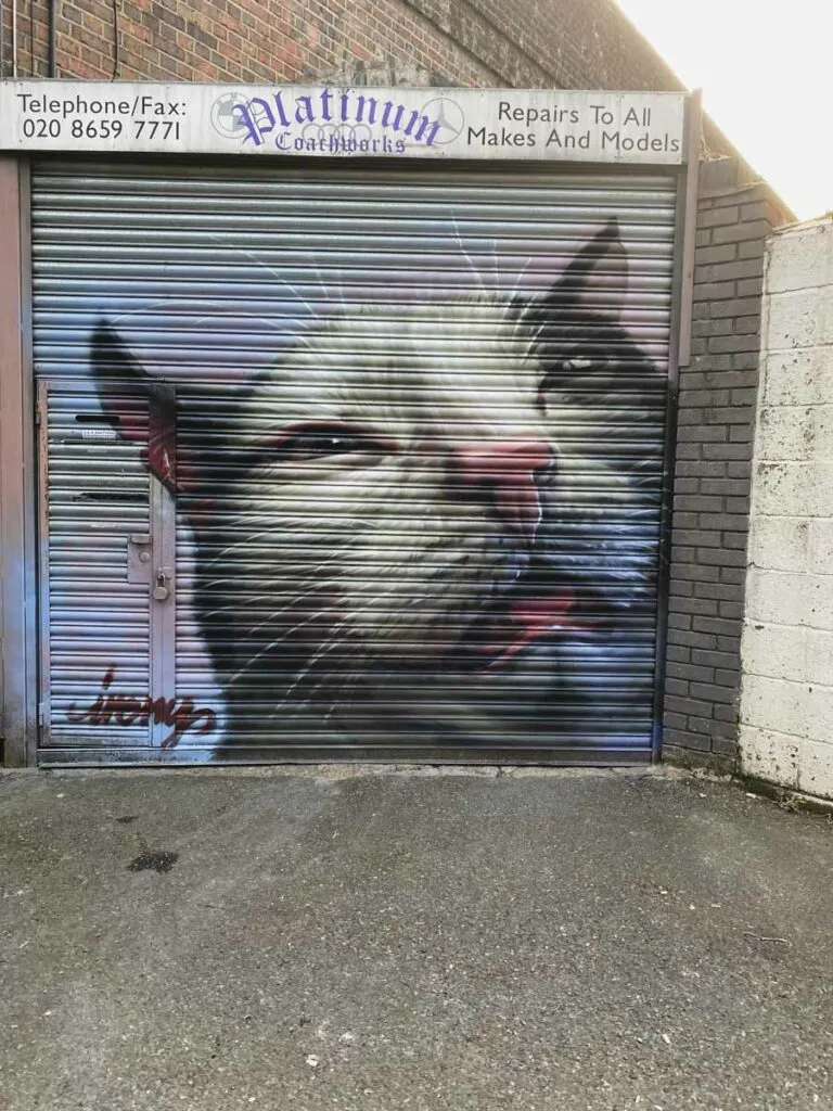 Cat by Irony in Penge