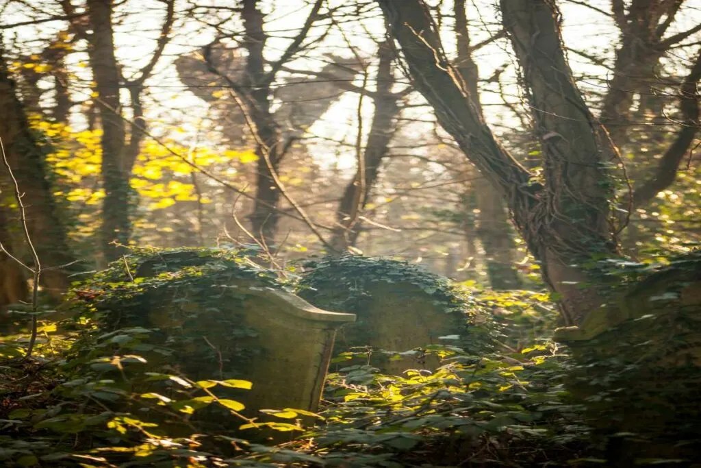 Abney Park