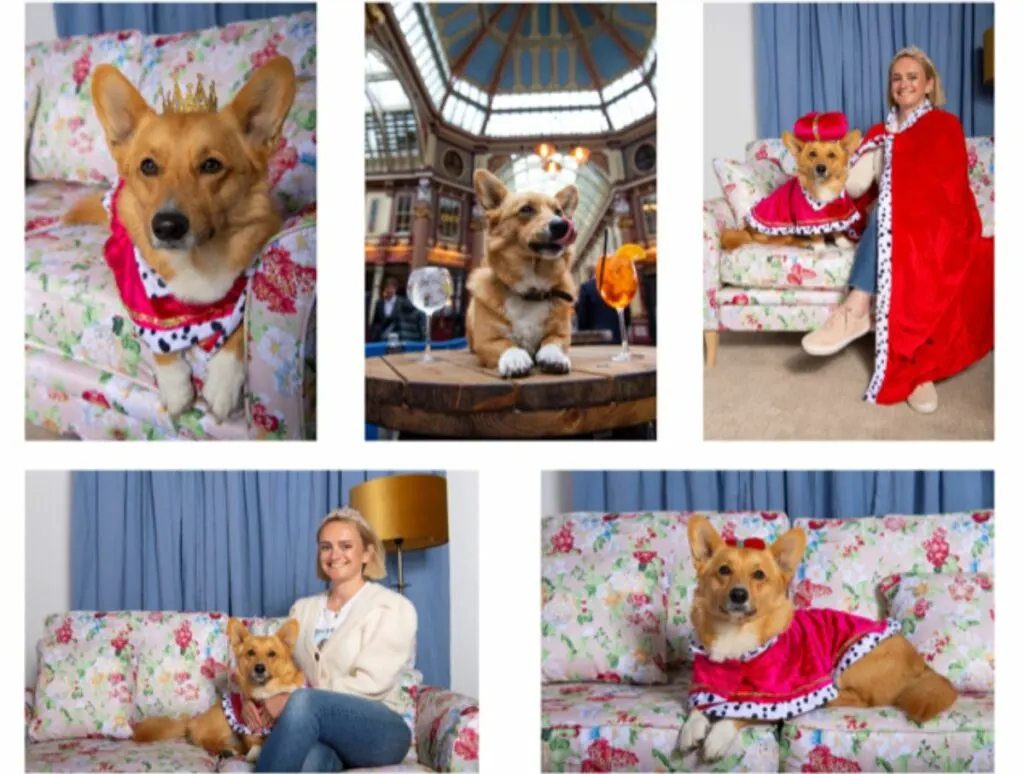 Leadenhall market corgi