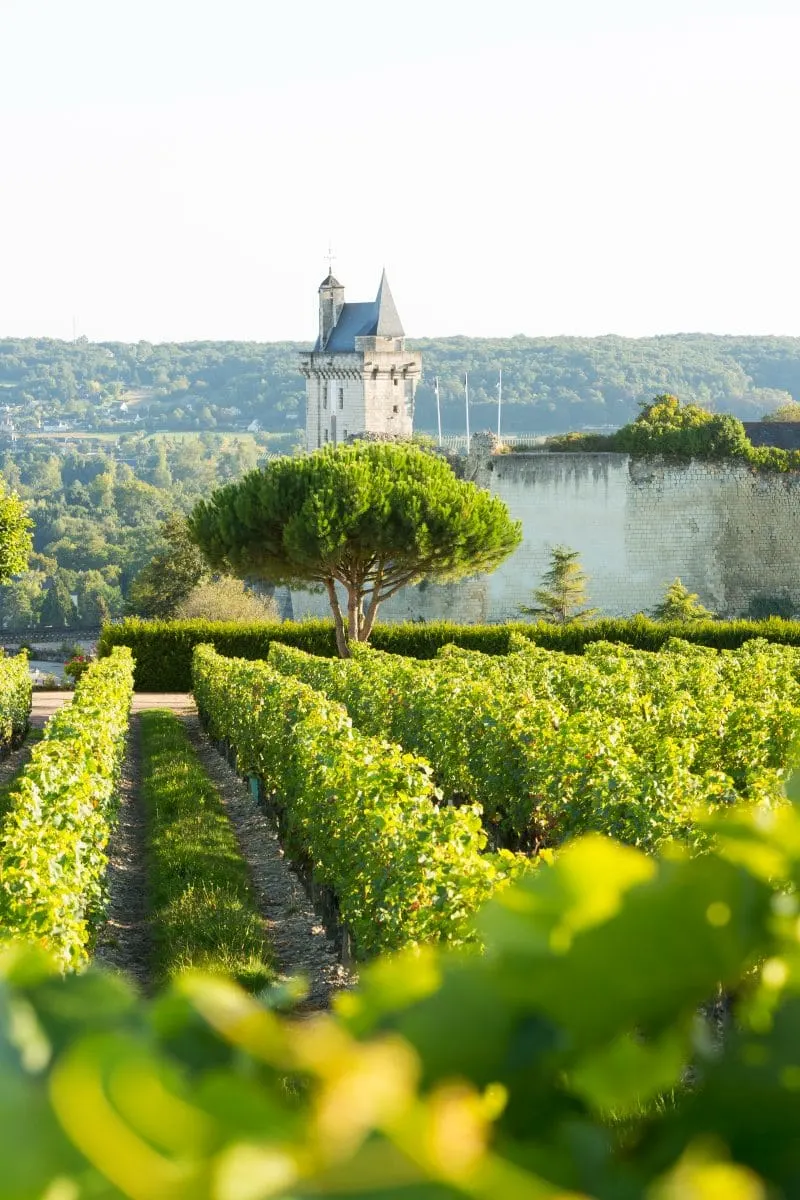 Loire Valley