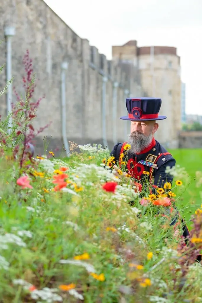 Superbloom Tower of London