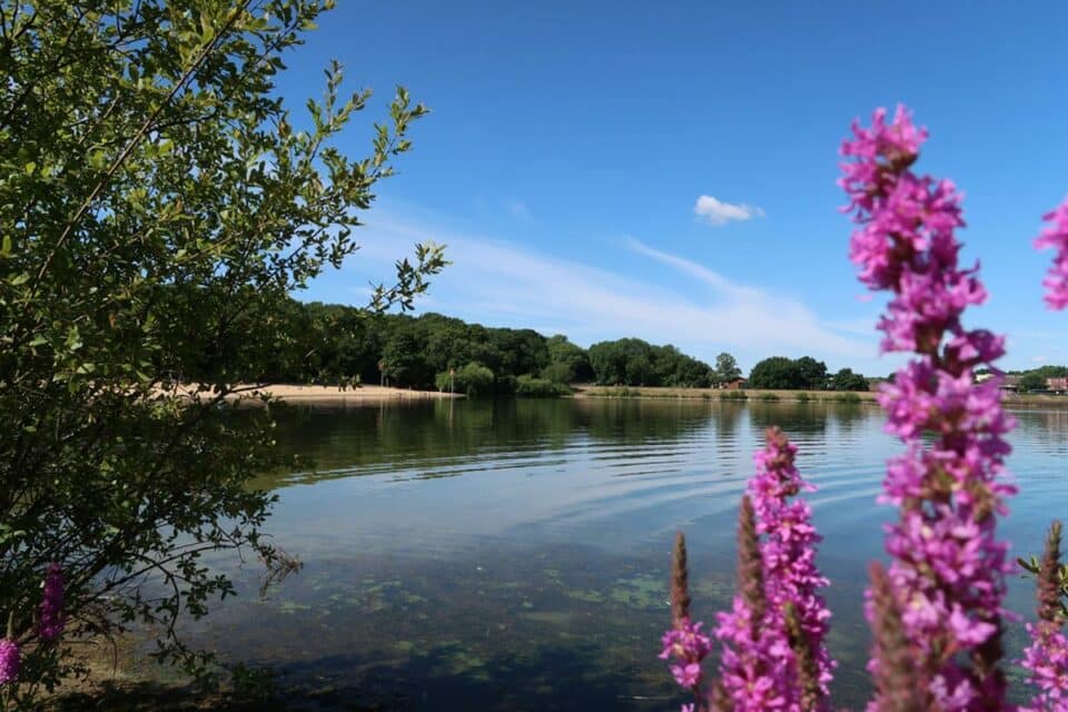 Ruislip Lido: London’s Real-Life Beach — London x London