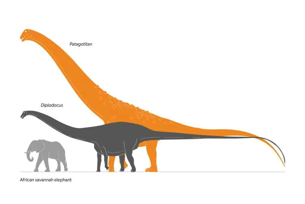 Patagotitan - Natural History Museum