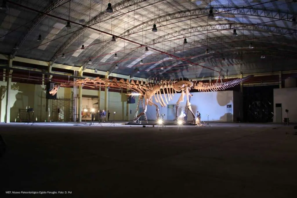 Patagotitan - Natural History Museum