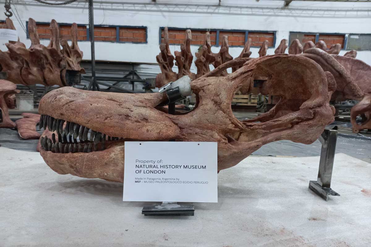 the-best-dinosaur-museums-in-the-world-reader-s-digest