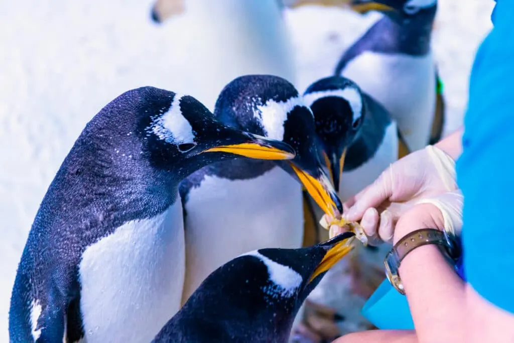 sealife aquarium